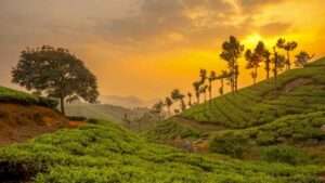 kerala tour package