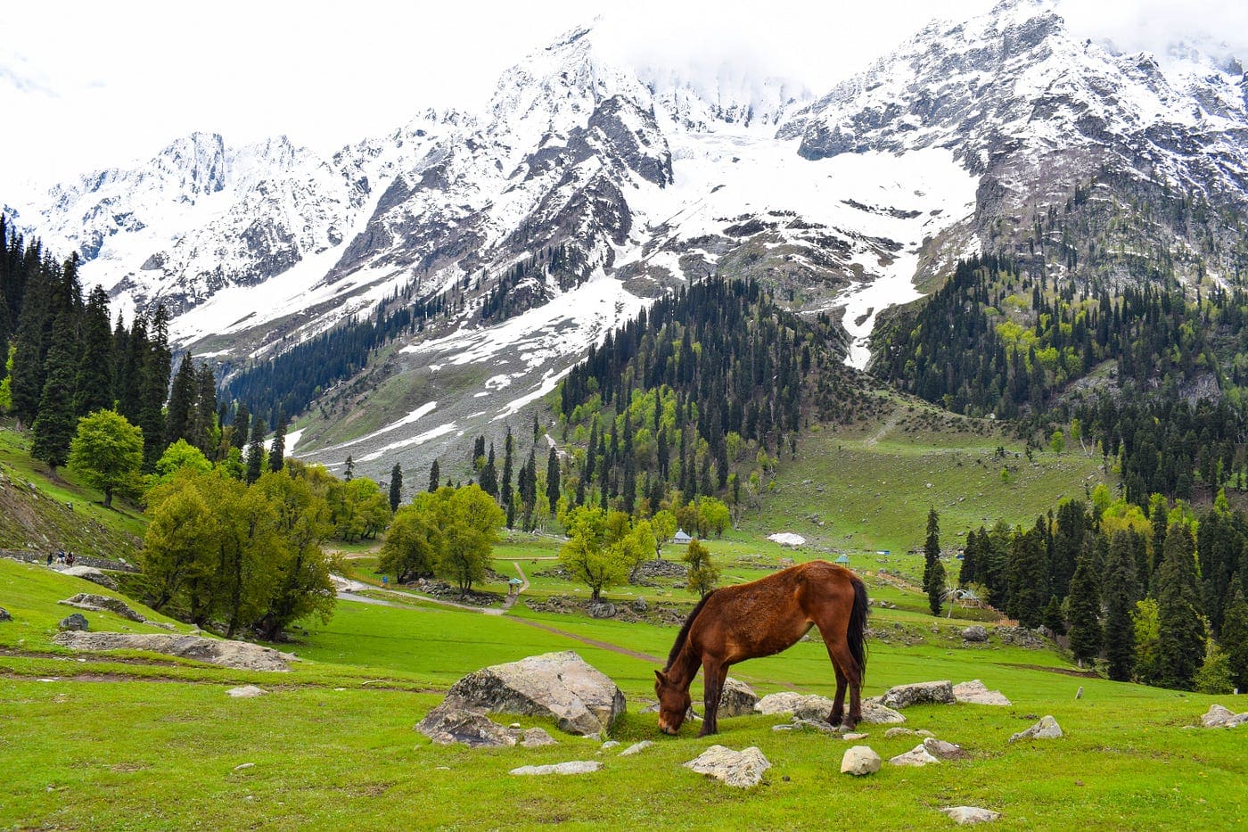 Chatpal-Kashmir