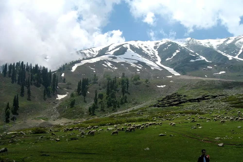 Kashmir tour package from delhi